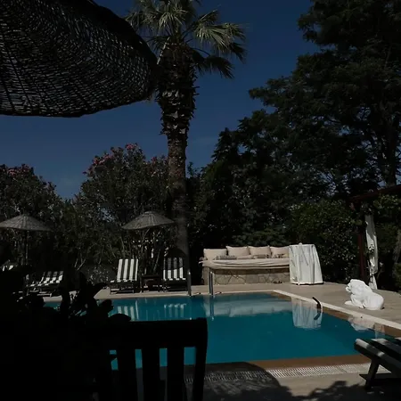 Akvilla House